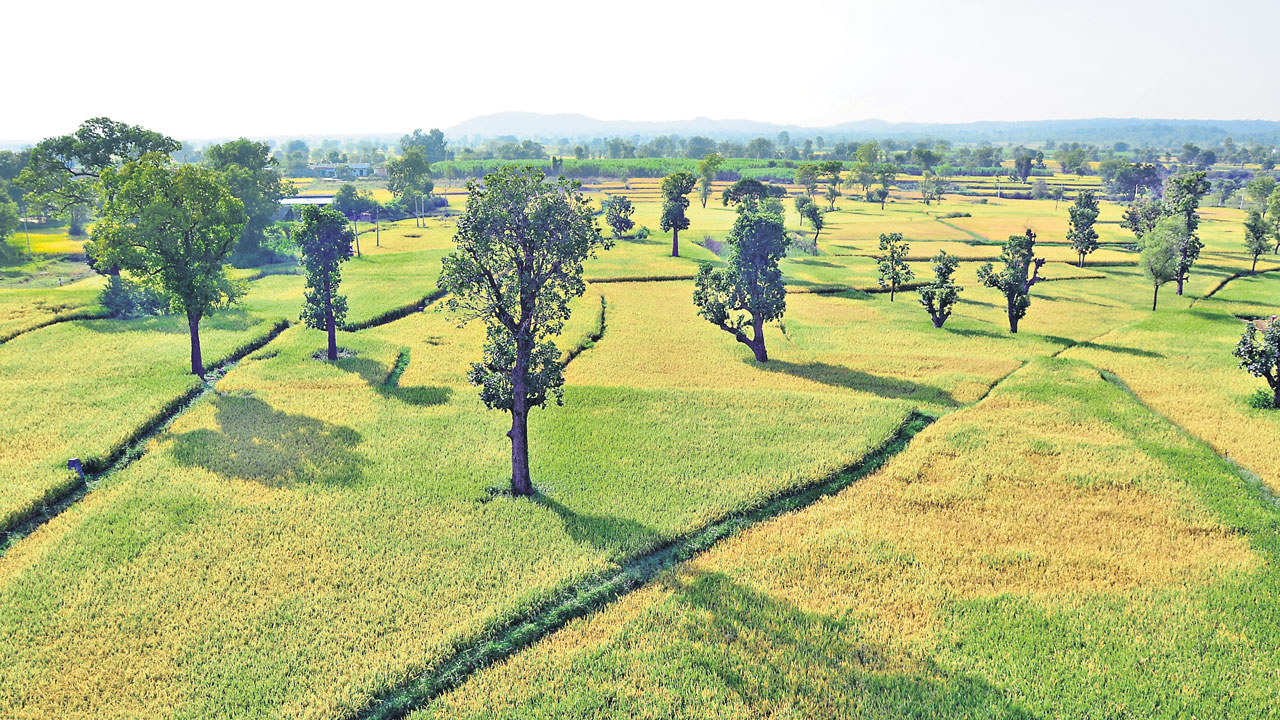 నాడు పల్లె పొమ్మన్నది.. నేడు బతుకు మారింది…