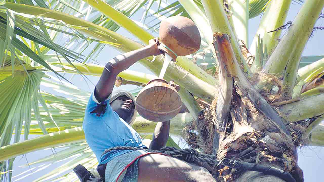 కల్లు గీతకు ప్రోత్సాహం