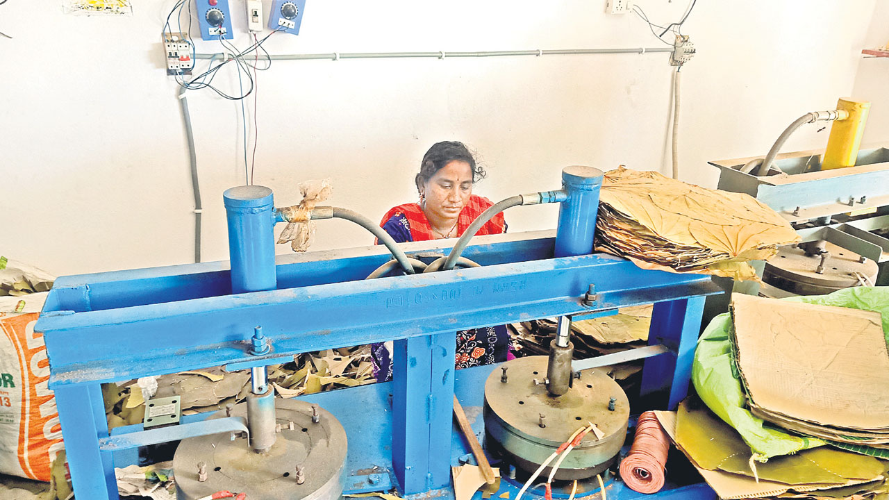 ఆదివాసీ స్టార్టప్‌ మోదుగ విస్తరి