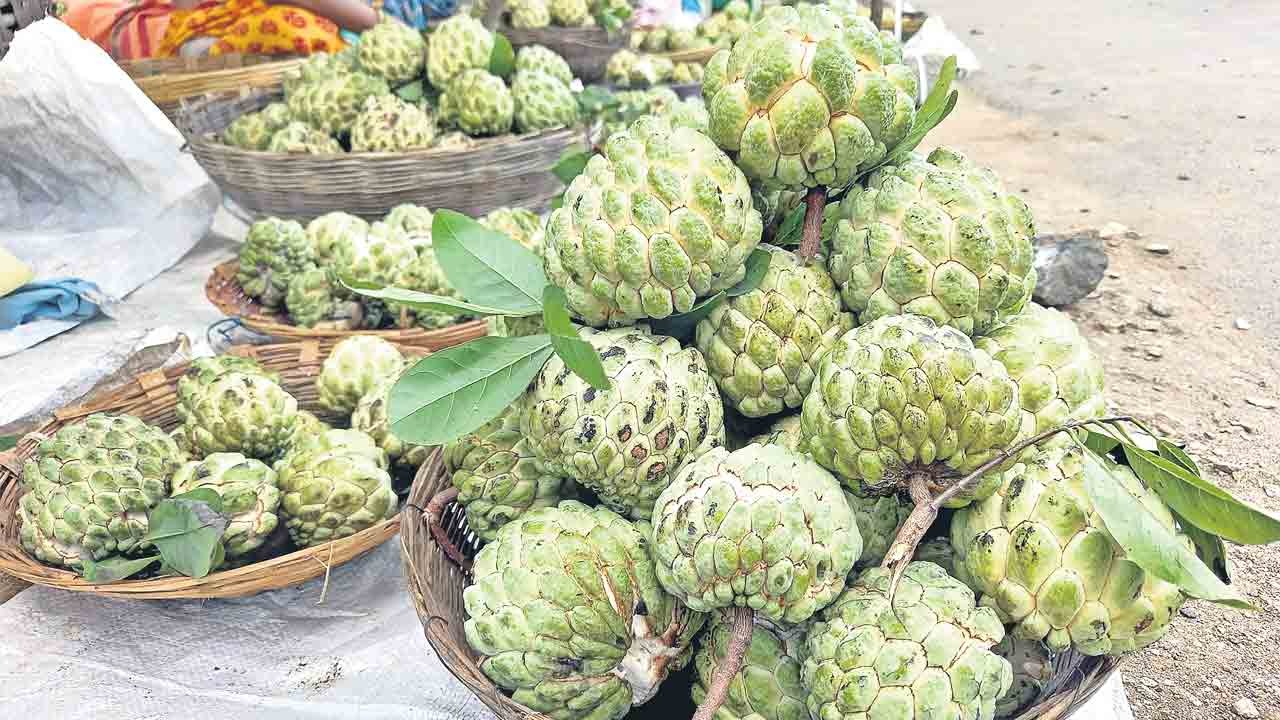 మధుర ఫలం.. దివ్యౌషధం..