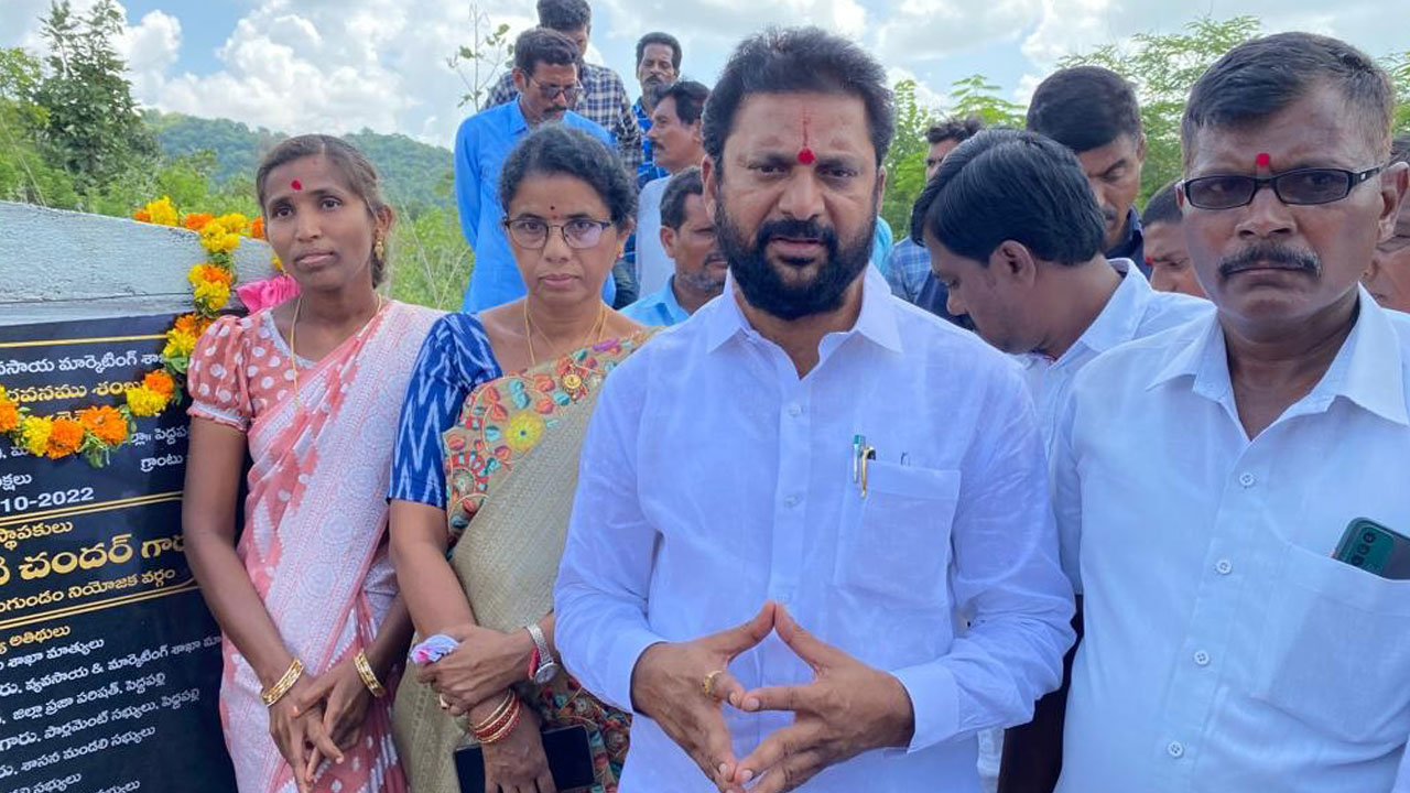 స్వరాష్ట్రంలో పండుగలా సాగు