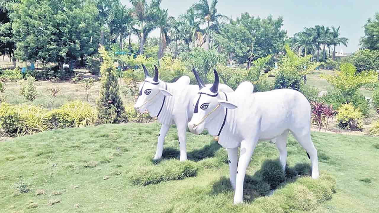 చౌట్‌”పల్లె ప్రకృతివనం’అందాల బృందావనం