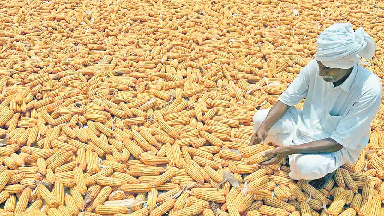 మద్దతుకు మించి..