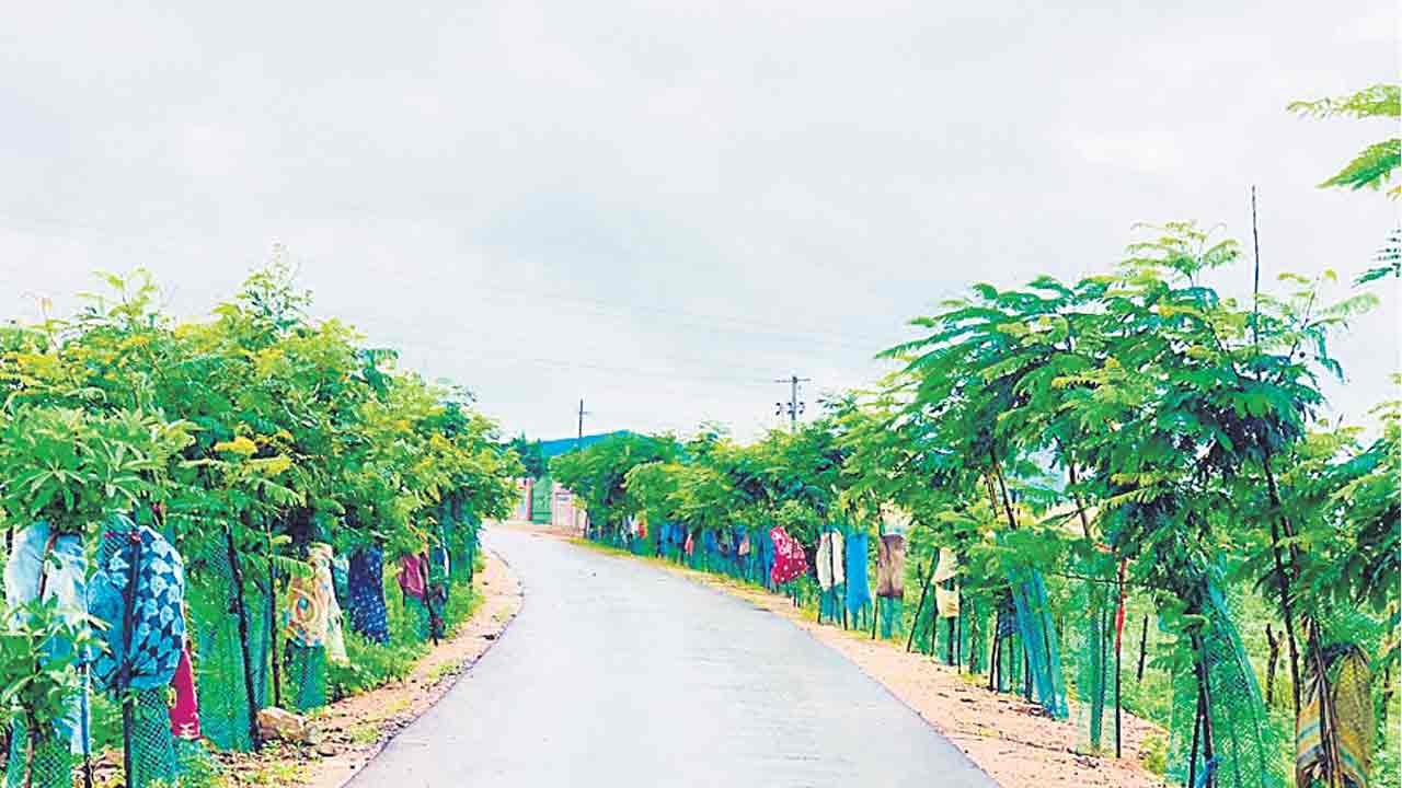 హరితదారులు