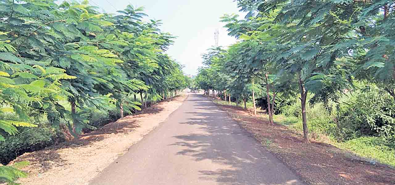 చిన్న కొల్కుంద కళకళ