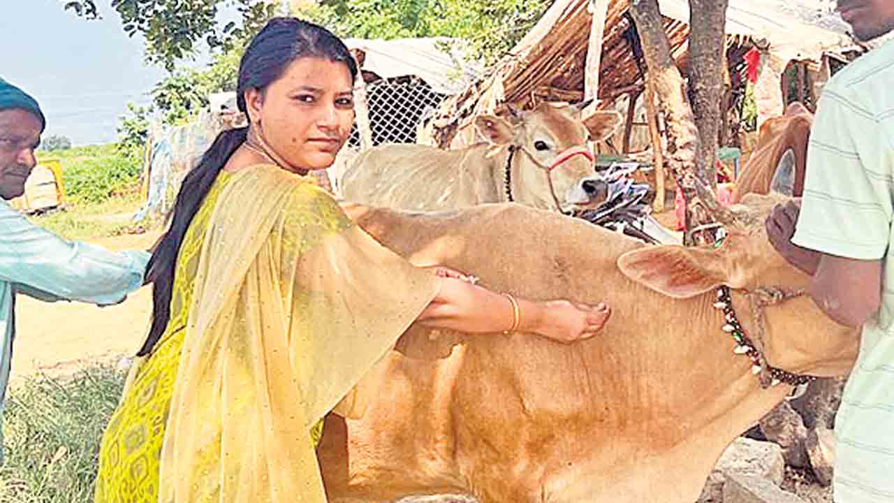 కట్టుదిట్టం