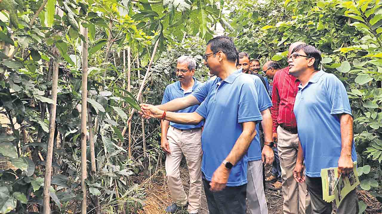 లాలాగూడలో అర్బన్‌ ఫారెస్ట్‌