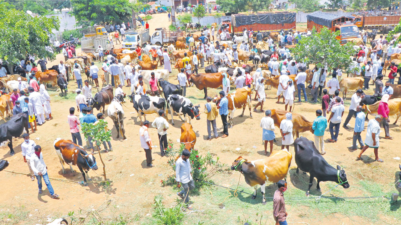 మార్కెట్ కమిటీకి మహర్దశ