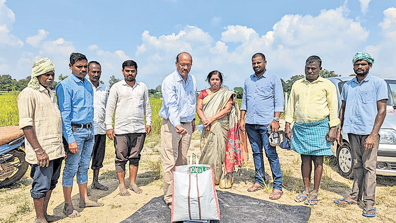 వానలతోపాటు తెగుళ్లు వస్తాయి