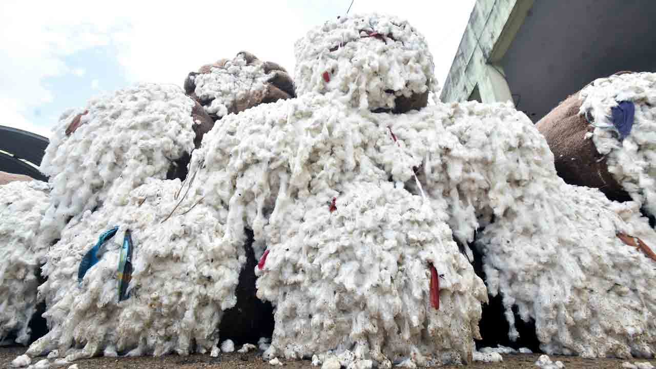 పత్తి@8010