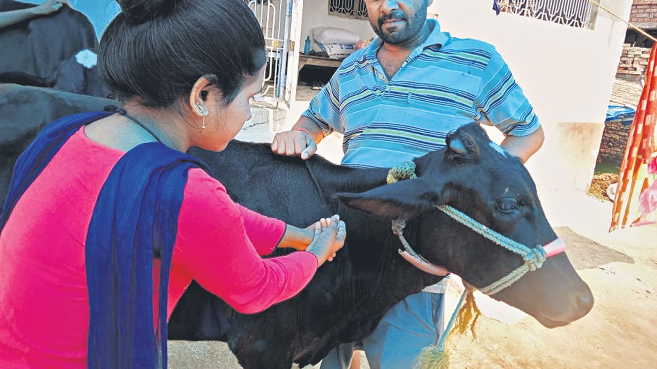 గోపాల మిత్రలకు తీపికబురు