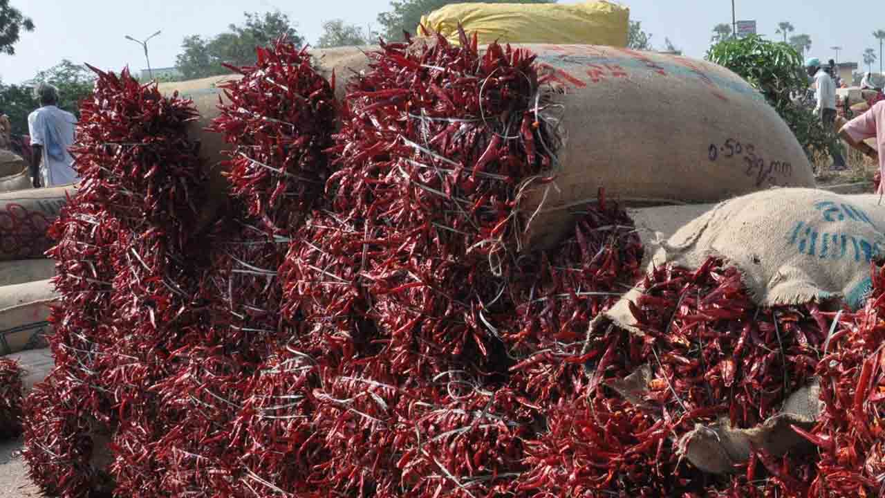 దేశీ మిర్చికి రికార్డు ధర