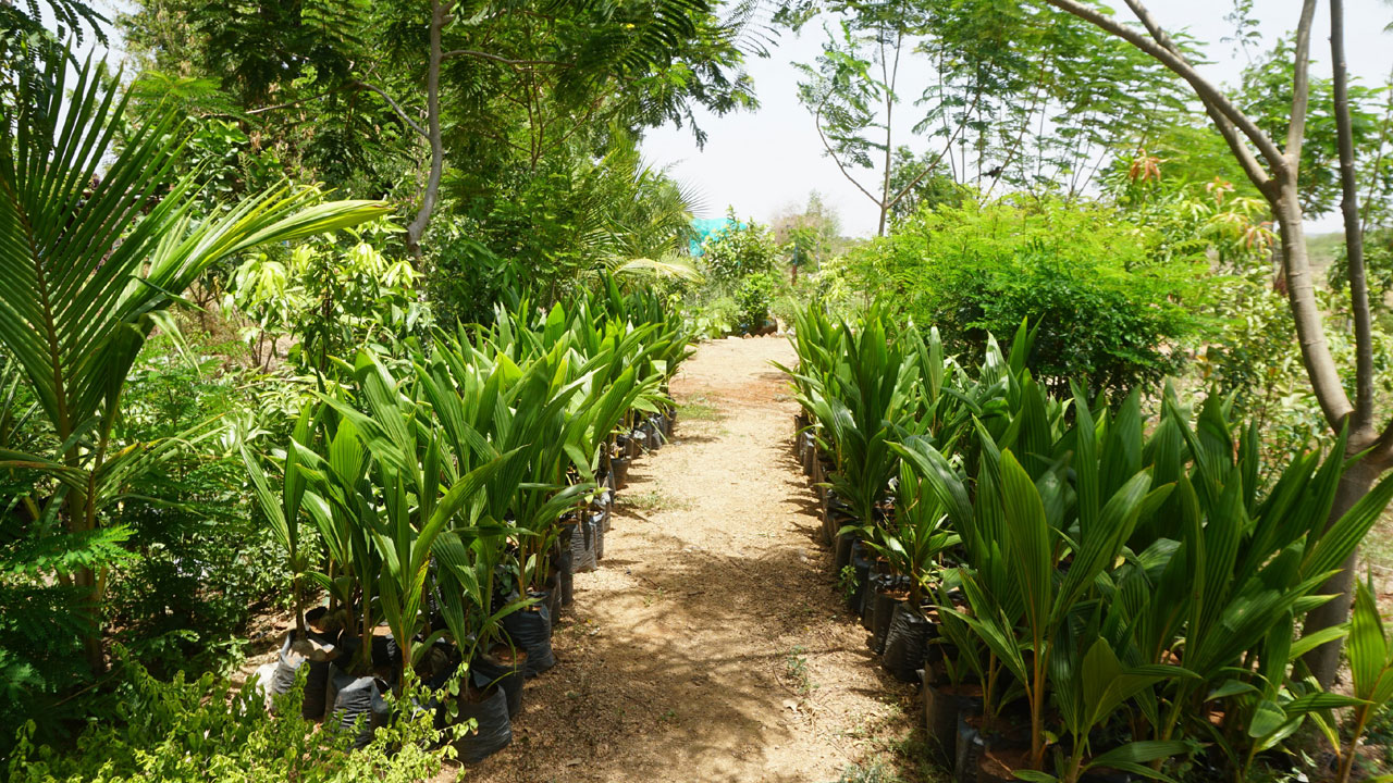 నాడు అవస్థలమయం.. నేడు అభివృద్ధి పథం..