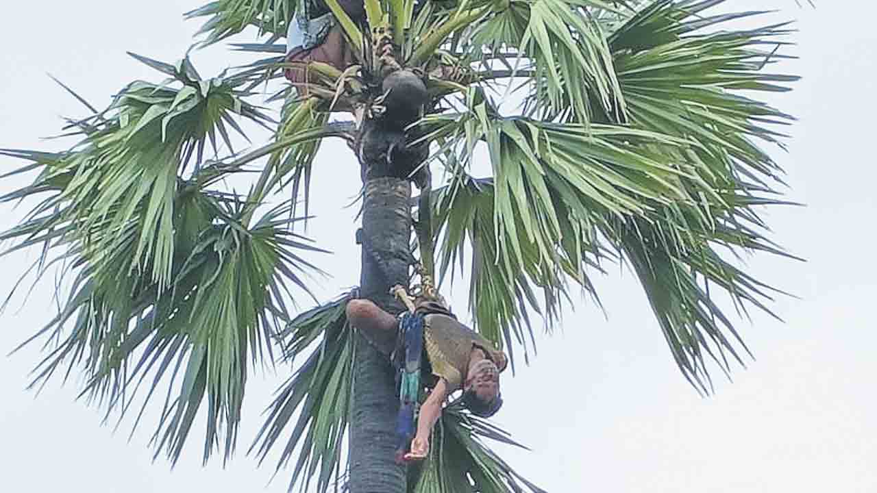 తాటిచెట్టుపై తలకిందులుగా గీతకార్మికుడు.. 8 గంటలు నరకయాతన