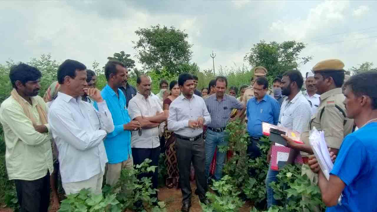 సర్వేను త్వరితగతిన పూర్తి చేయాలి