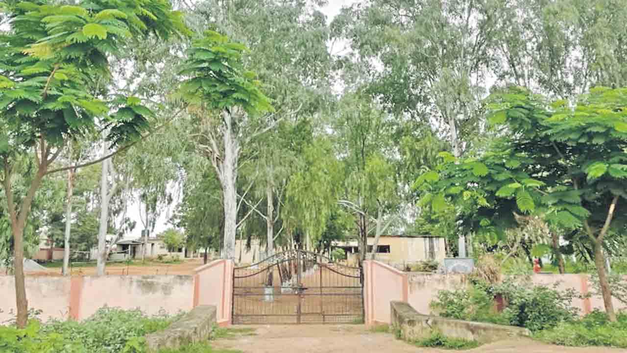 హరిత వనాలకు స్వాగతం