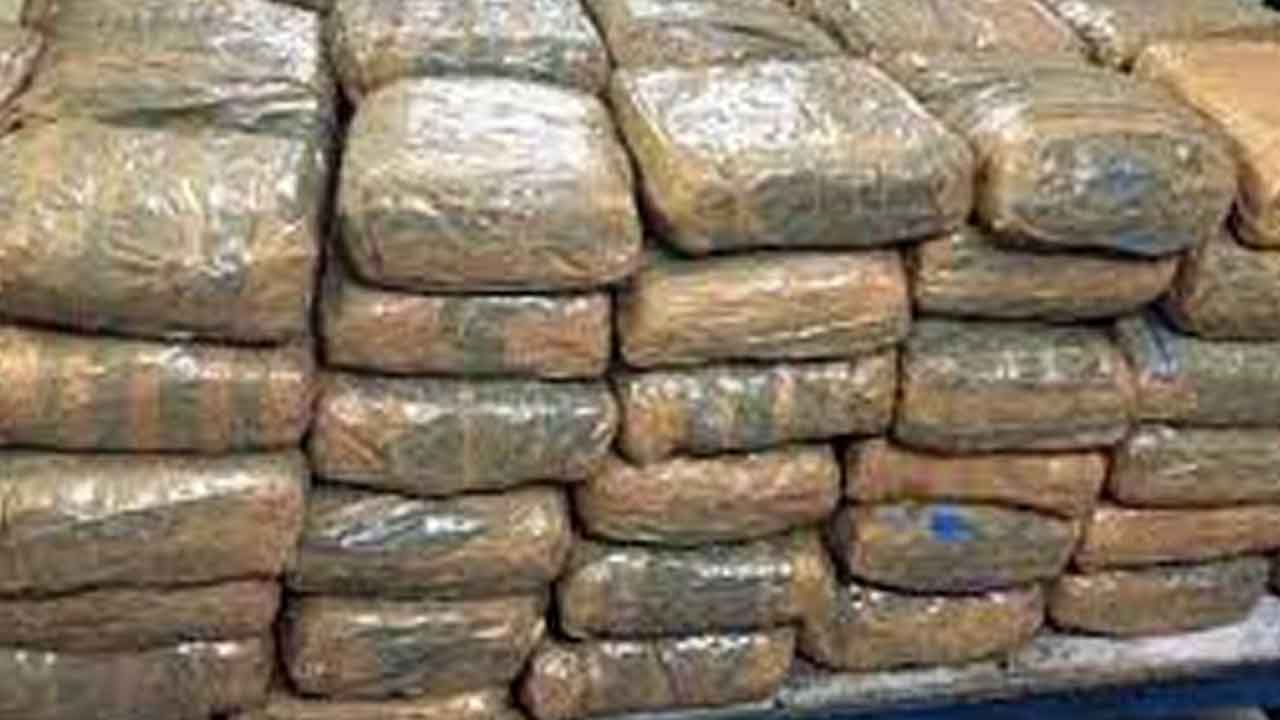 పేరుకు అరటి గెలల సరఫరా .. చేసేది గంజాయి రవాణా