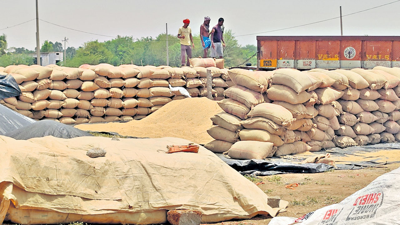 ధాన్యం సేకరణకు సన్నద్ధం