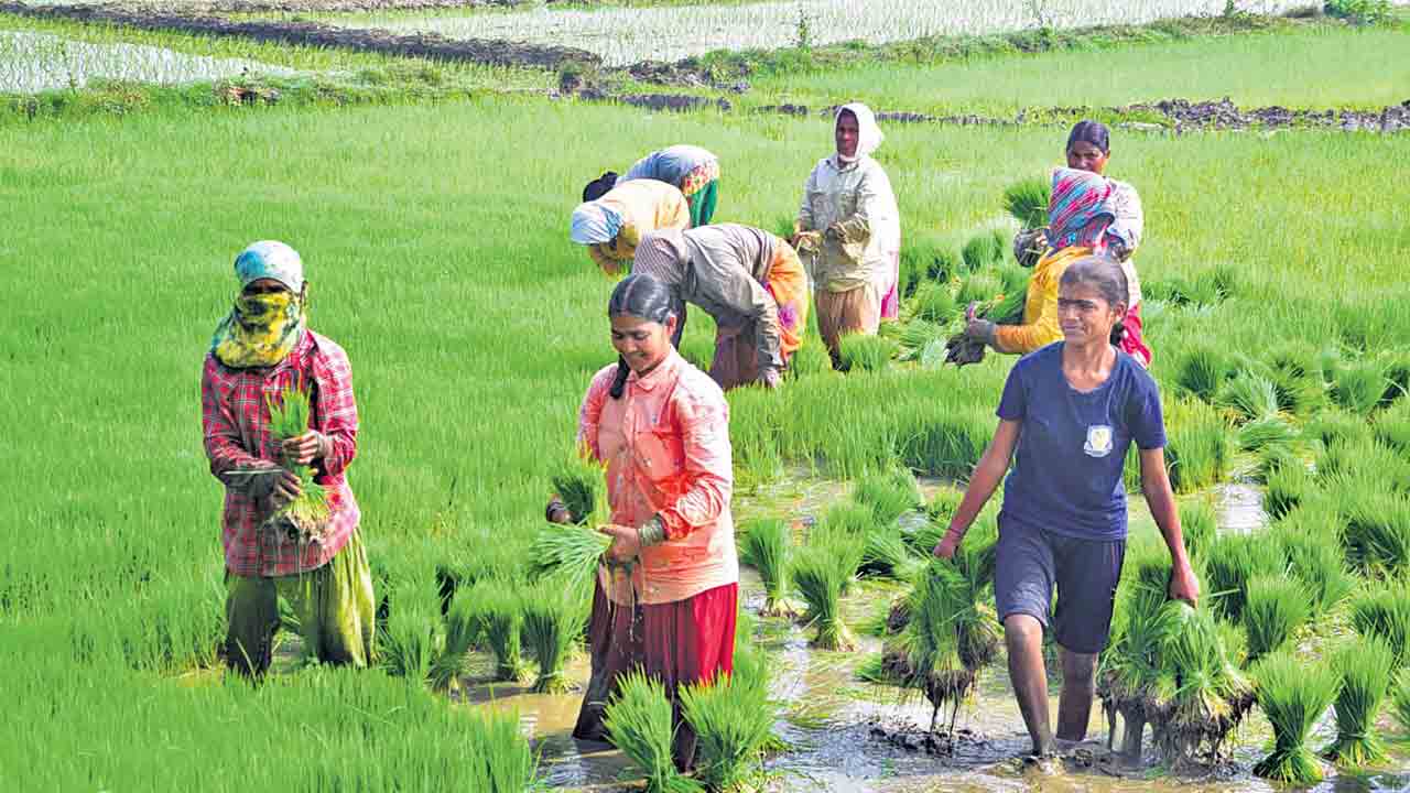 పల్లె సోయగం