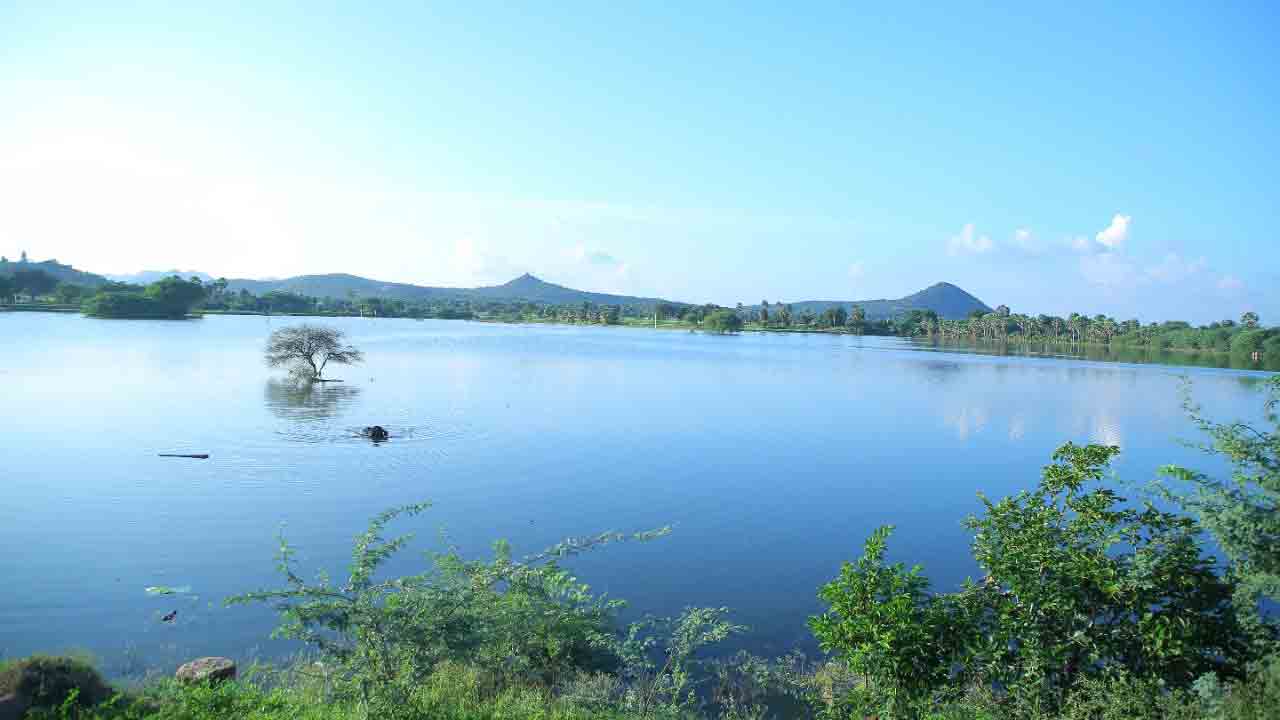 చెదిరిన చెరువులకు కొత్త కళ