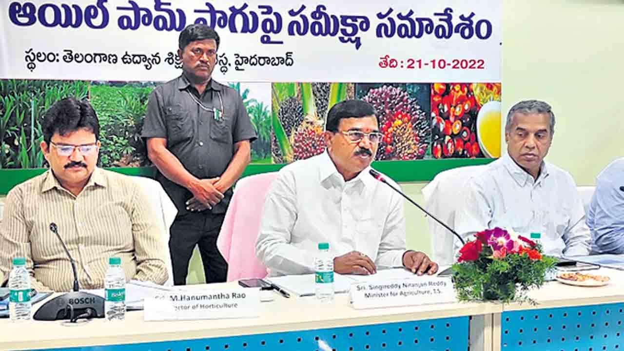 1.78 లక్షల ఎకరాల్లో ఆయిల్పాం