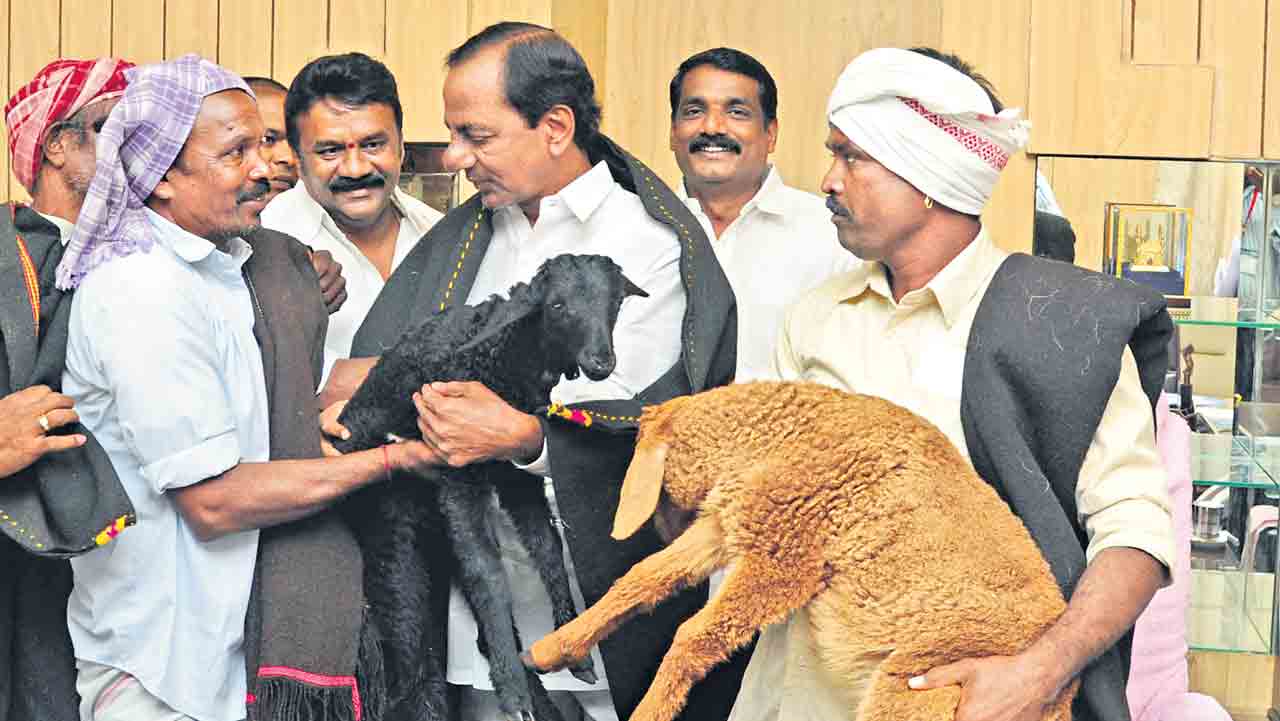 మంద పెరిగె.. రంది తీరె