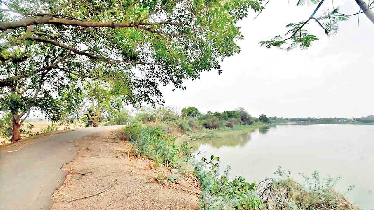 తిన్న రేవును మరువొద్దు!