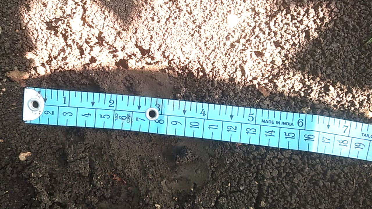 పొన్నారిలో చిరుత సంచారం