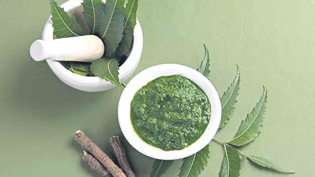 వేపమాస్క్‌ వేసేద్దాం