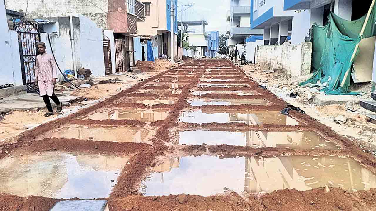 శరవేగంగా అభివృద్ధి పనులు