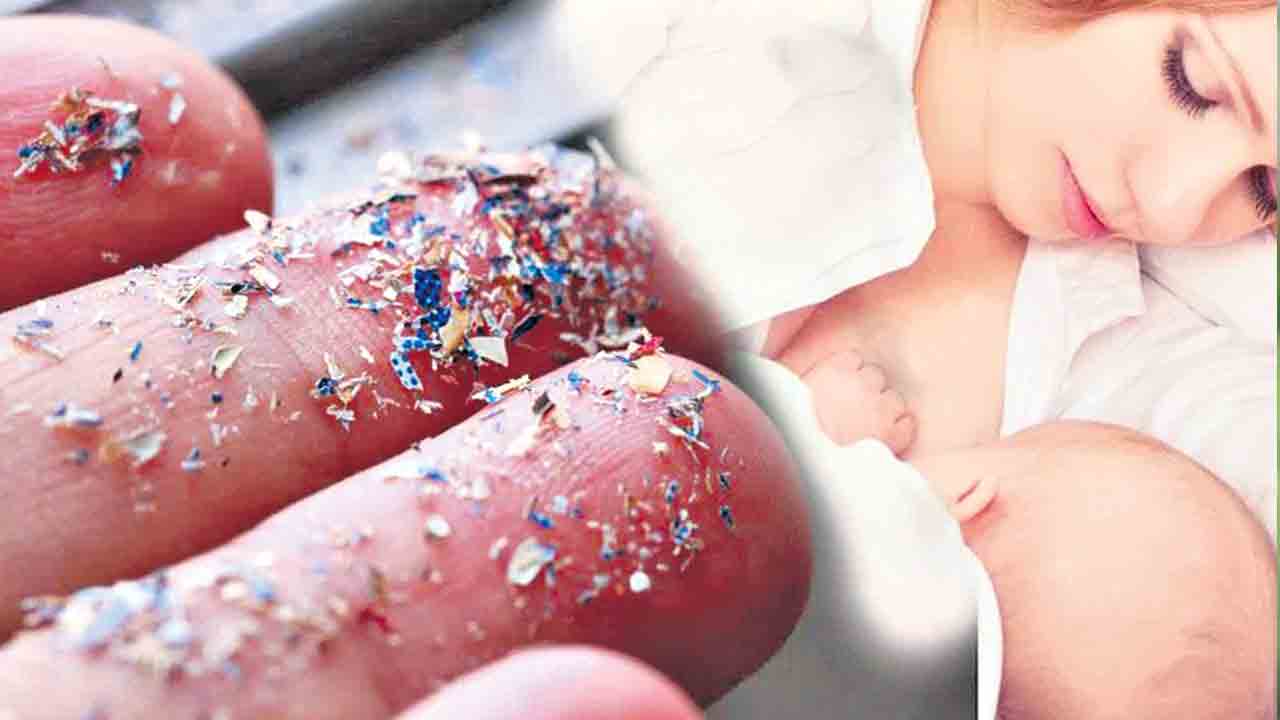 అమ్మ పాలలోనూ ప్లాస్టిక్‌