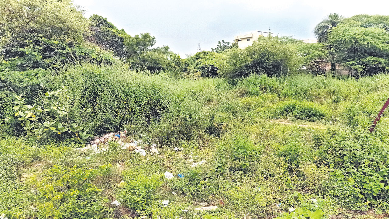 రైల్వే స్థలాల్లో కానరాని ‘స్వచ్ఛ భారత్‌’