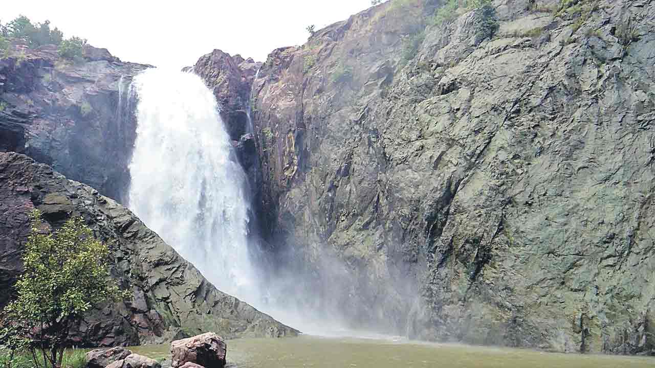 ఉమ్మడి ఆదిలాబాద్‌ జిల్లాలో ఇన్ని జలపాతాలా.. వీటి ప్రత్యేకత తెలిస్తే చూడకుండా ఉండలేరు