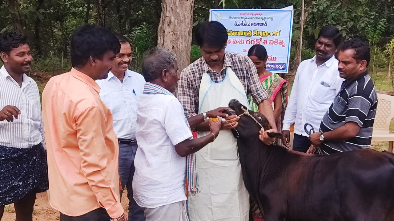 లంపీస్కిన్‌పై అప్రమత్తం