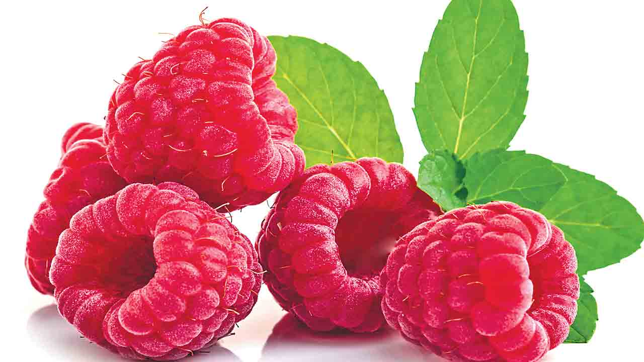 బద్ధకానికి విరుగుడు