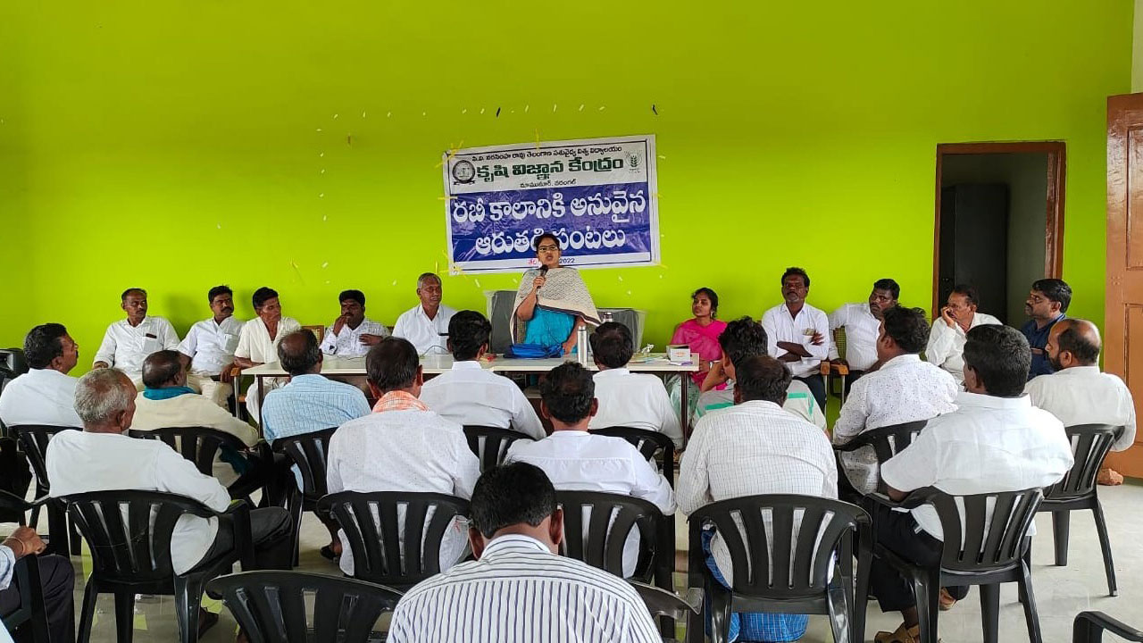 ఆరుతడి పంటలపై దృష్టి పెట్టాలి