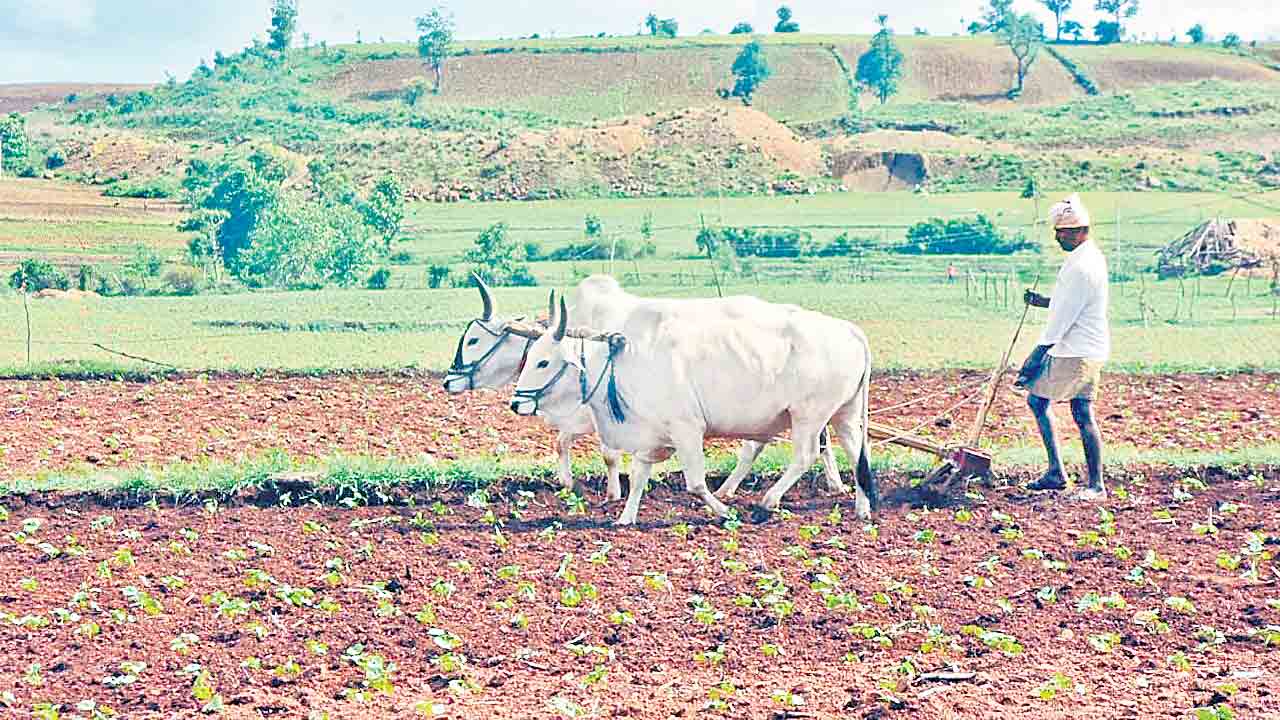 యాసంగికి వేళాయె..