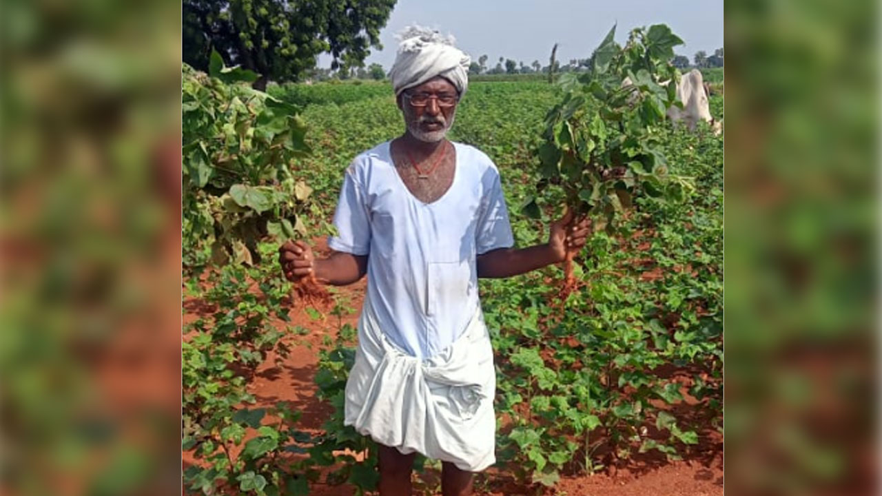 విపత్తి