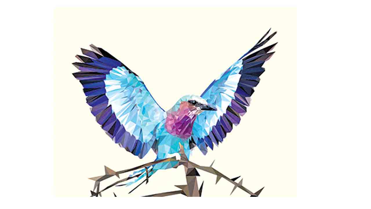 సిరా చుక్క