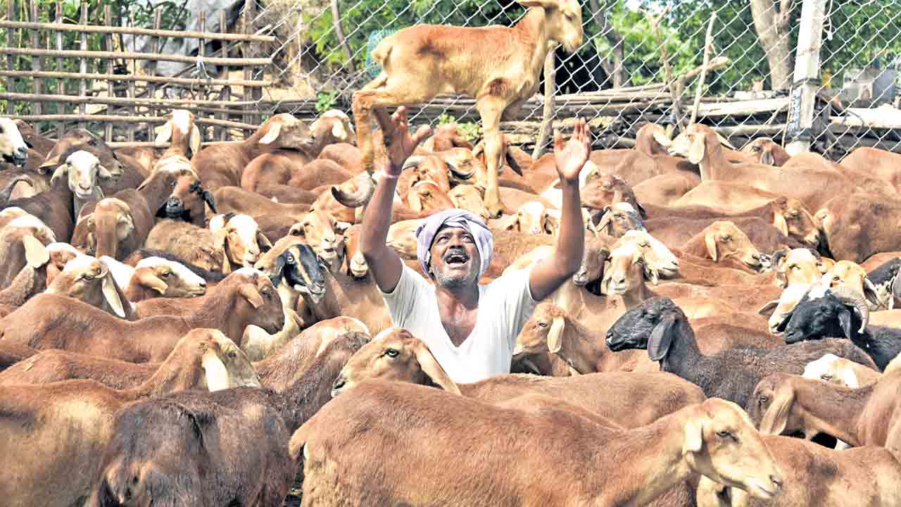 జీవాలనిచ్చి.. జీవితాలు మార్చె