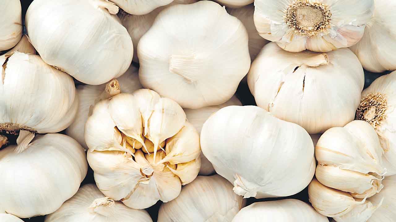 గుజరాత్‌ రైతుల వెల్లుల్లి వెతలు