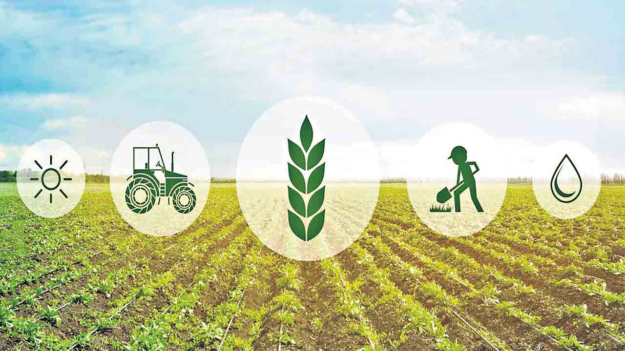 రైతు రాజ్యాన్ని స్థాపించాలె