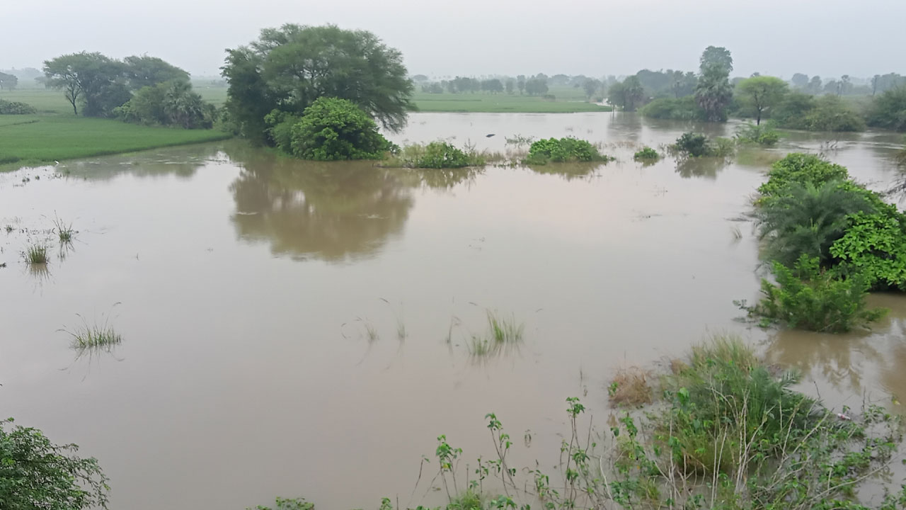 జిల్లాలో మోస్తరు వర్షం