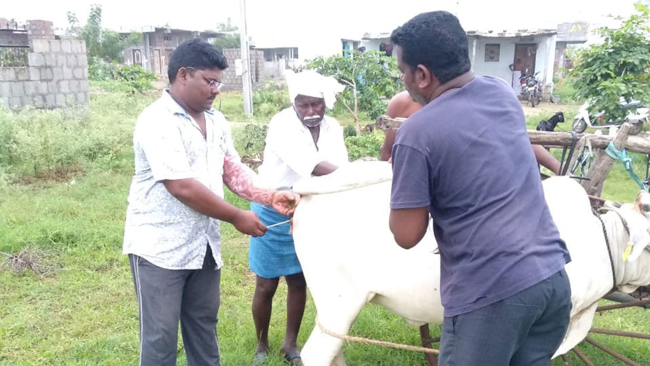 గోపాలమిత్రలకు దసరా కానుక