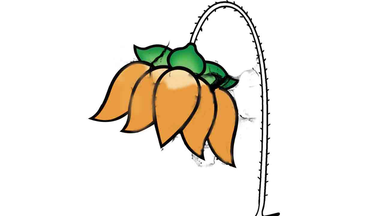 కమలం.. కపట‘దారి’!