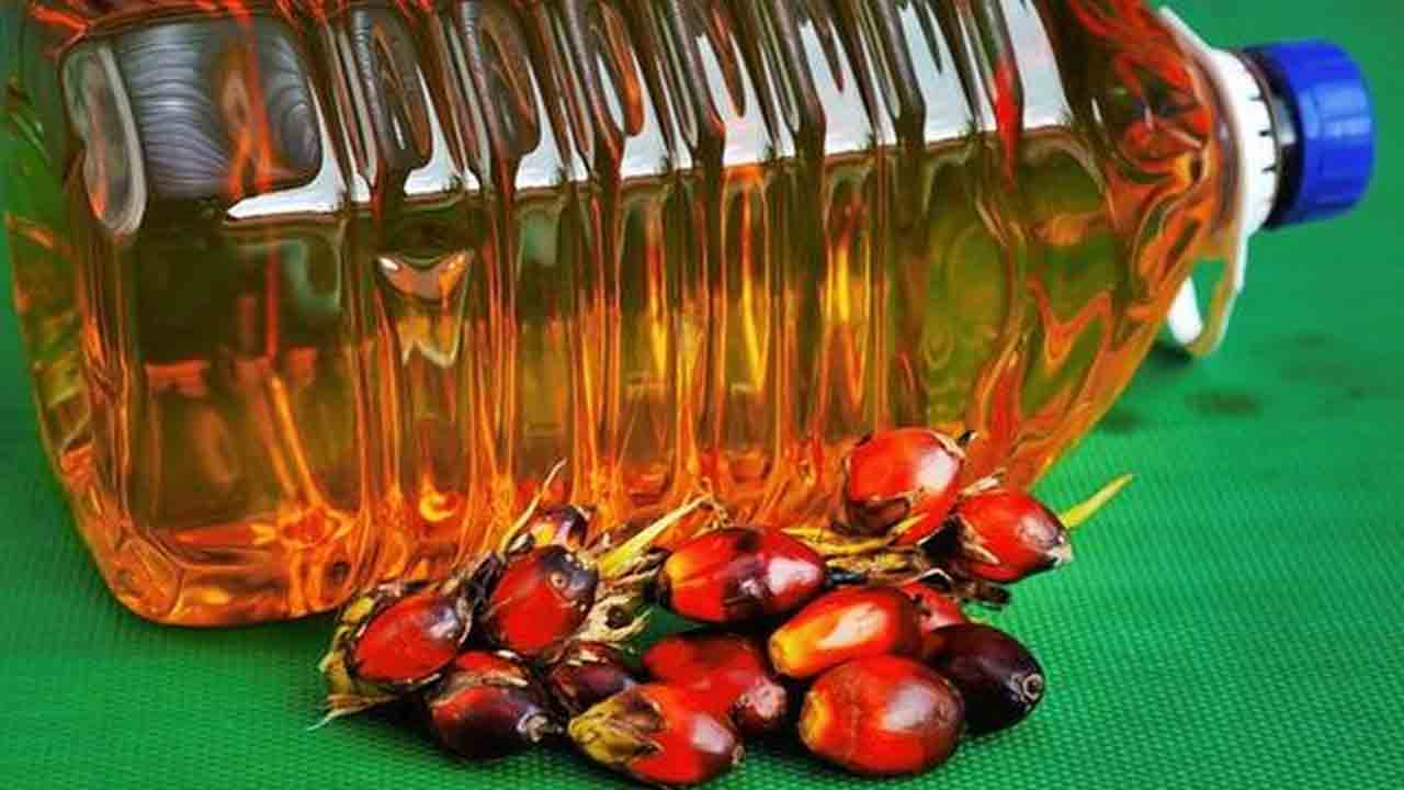 పామాయిల్‌పై తిరిగి దిగుమతి సుంకం పెంపు?