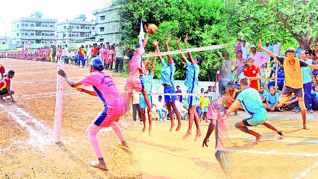 అన్నింటా హవా