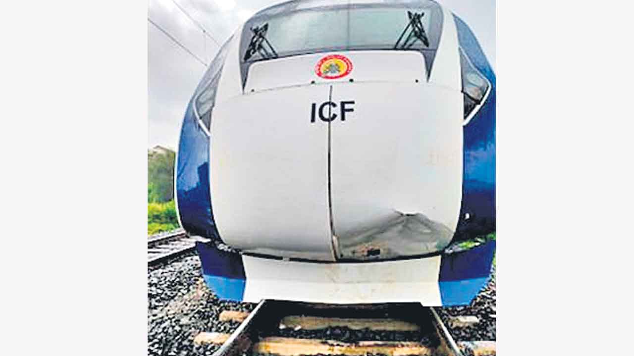 నిన్న బర్రె.. నేడు ఆవు