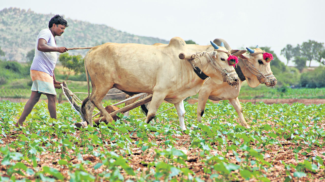 ప్రాధాన్య రంగాలకు 42,784 కోట్లు