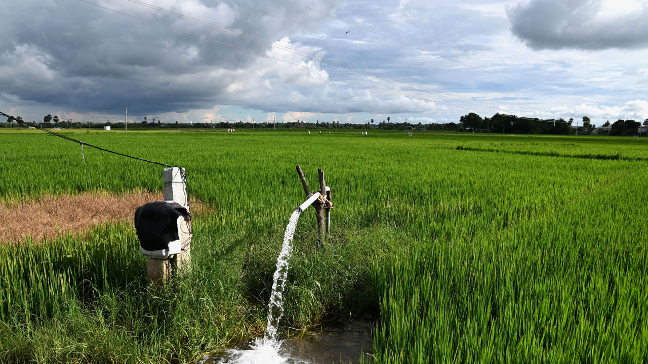 రైతుబంధువై!